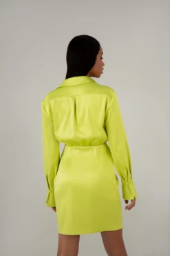 Vikisews Sylvie Dress PDF (Intermediate) -CELOVE Clothing Shop image 99623.1674664773